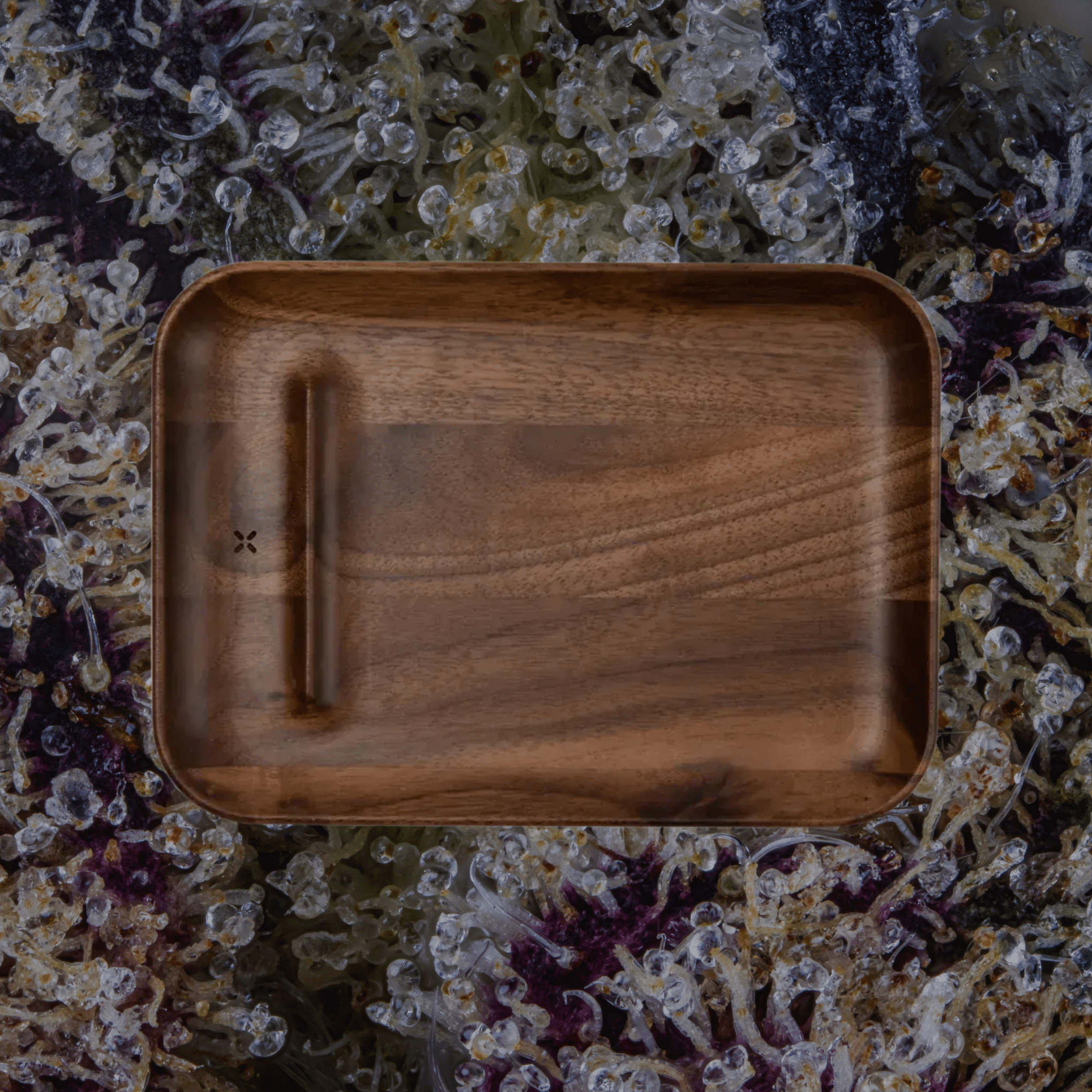 Pax Prep Tray