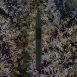 Puffco New Plus, for extracts from Trichly photo 1