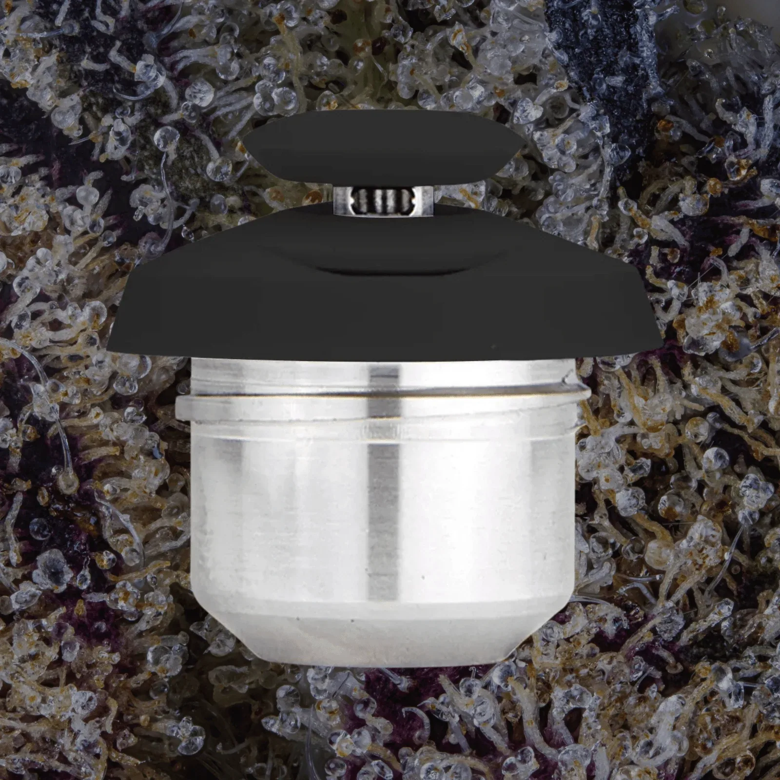 Puffco New Proxy 3D Chamber, replacement chambers from Trichly