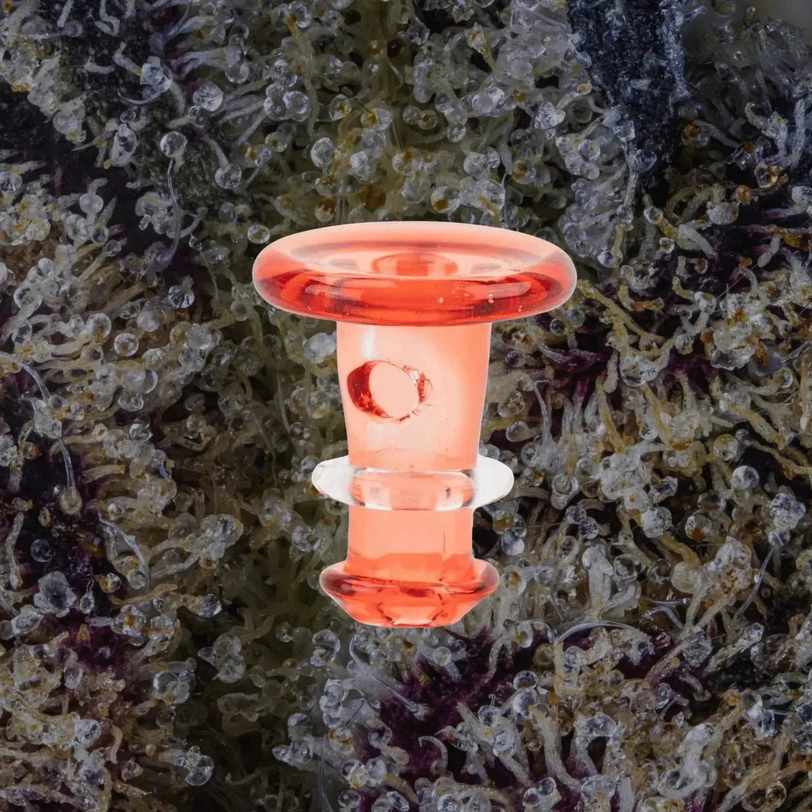 Puffco Peak/Proxy Joystick Caps, accessories from Trichly