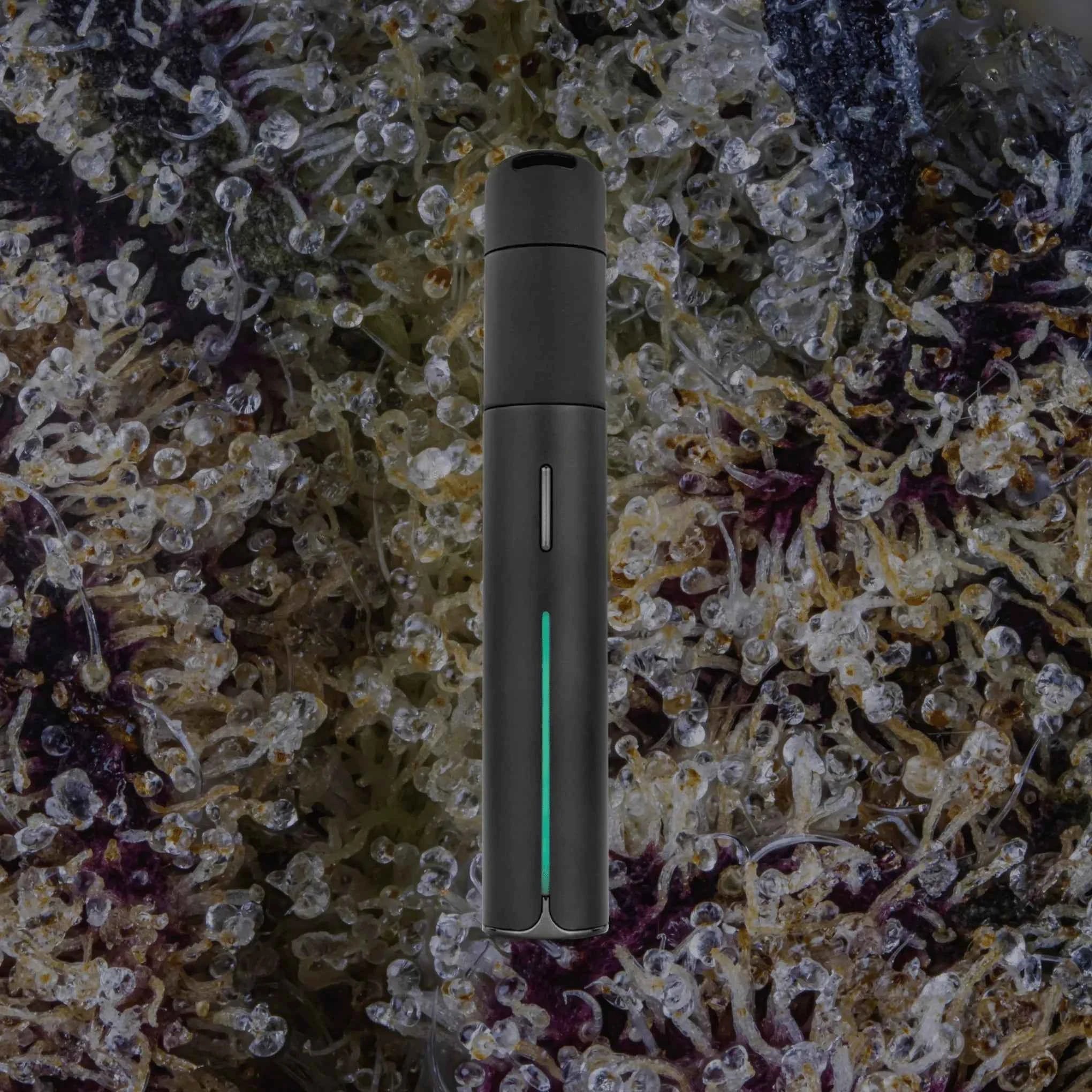 Puffco Pivot