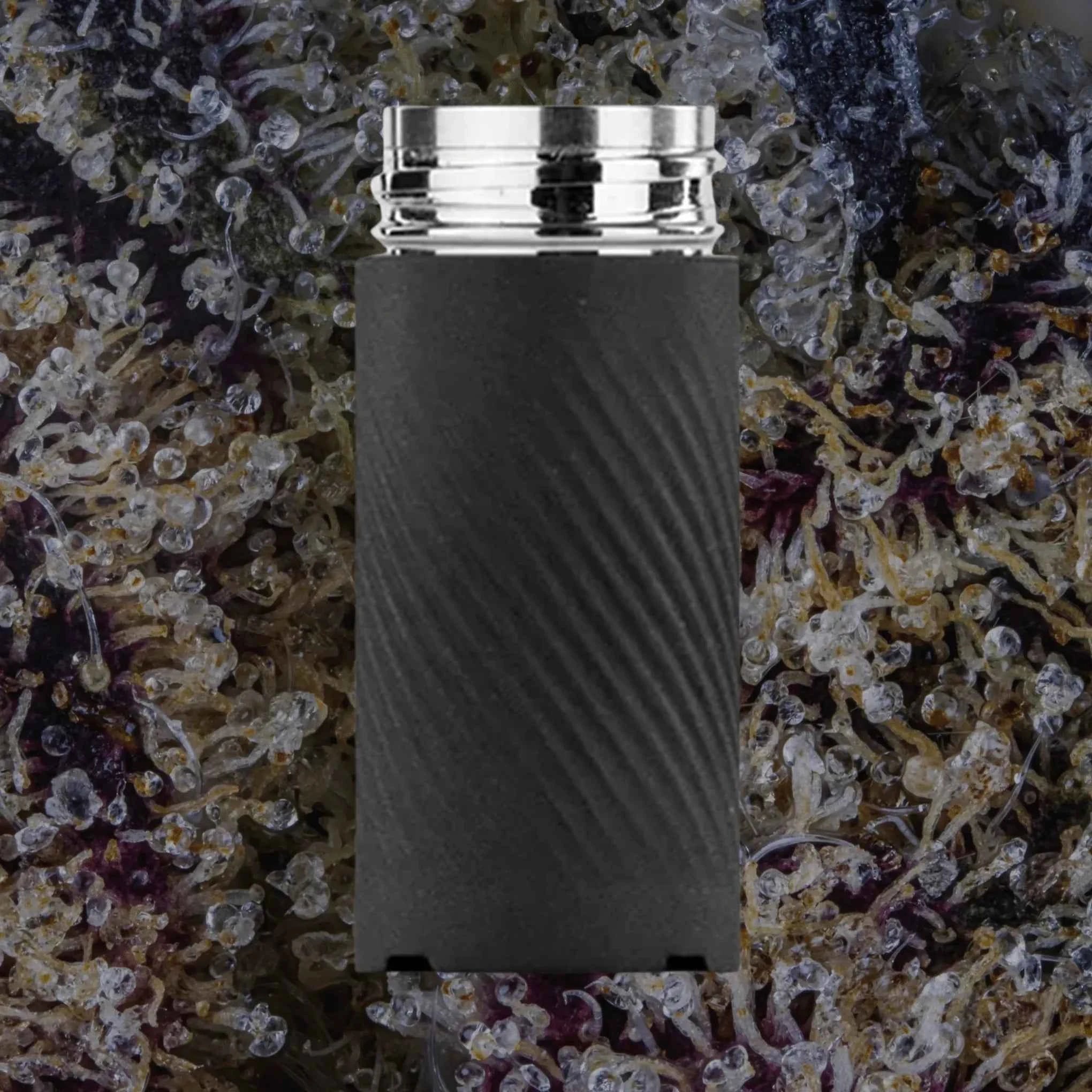 Puffco Plus Chamber