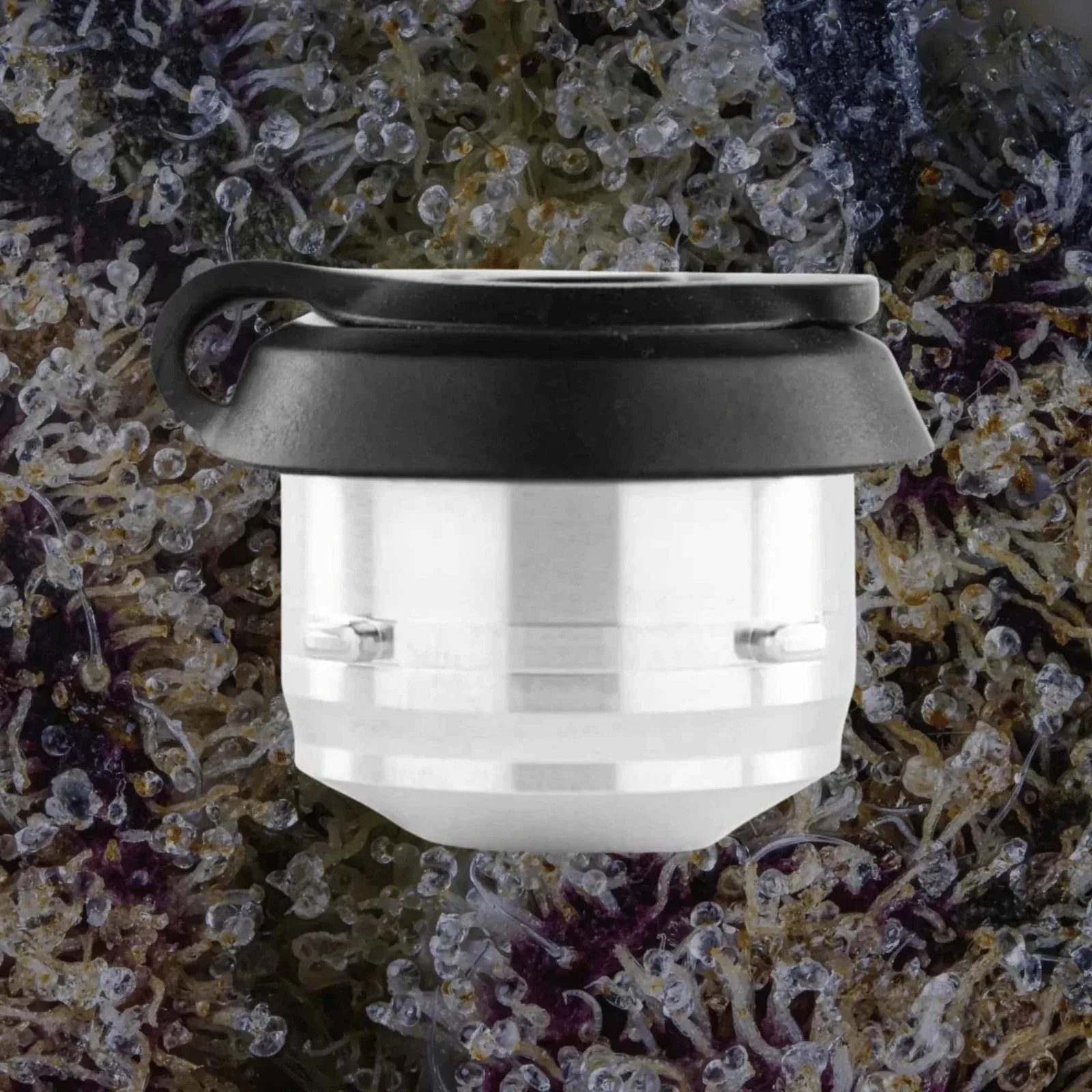Puffco Proxy 3D Chamber, replacement chambers from Trichly