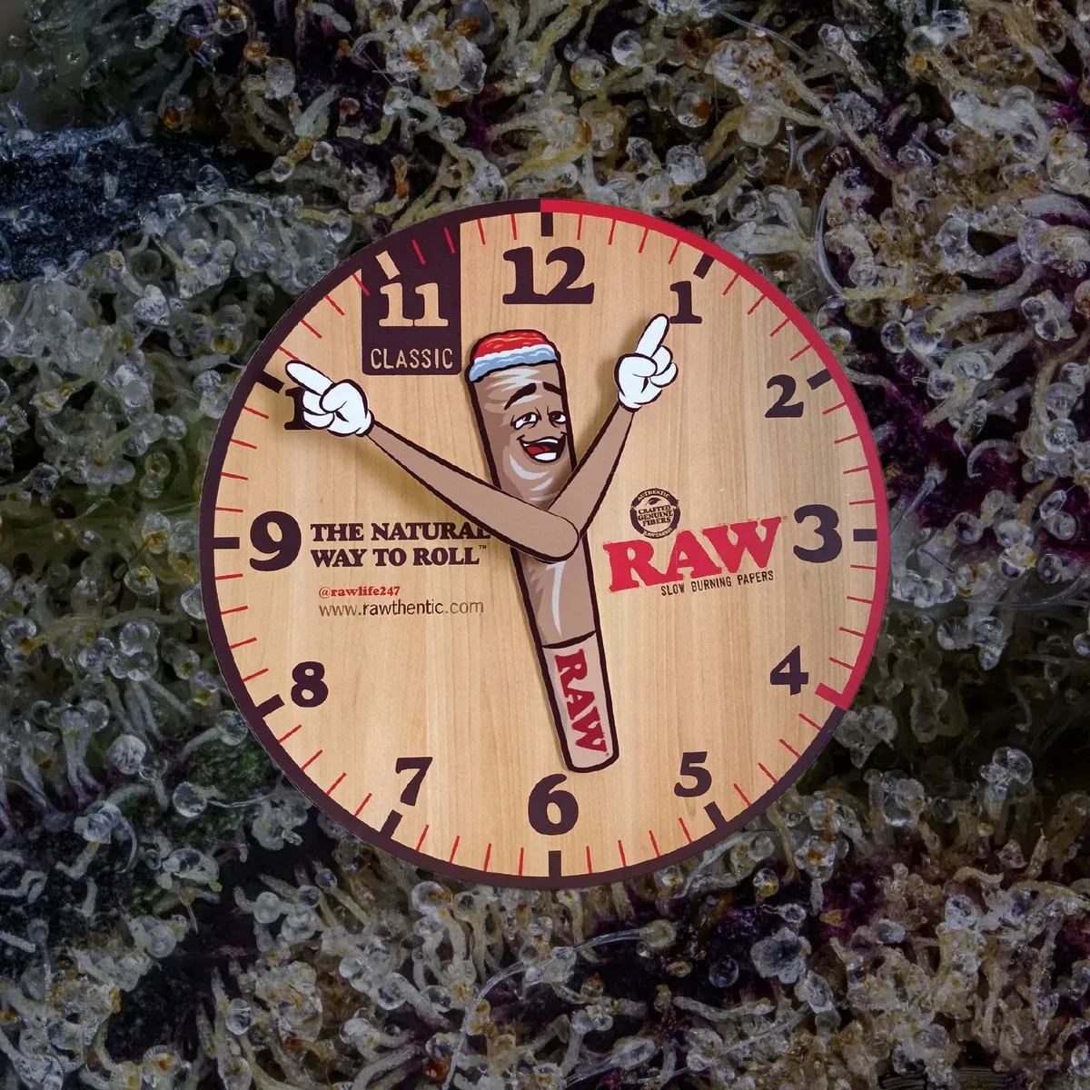 RAW Cone Clock, novelty from Trichly