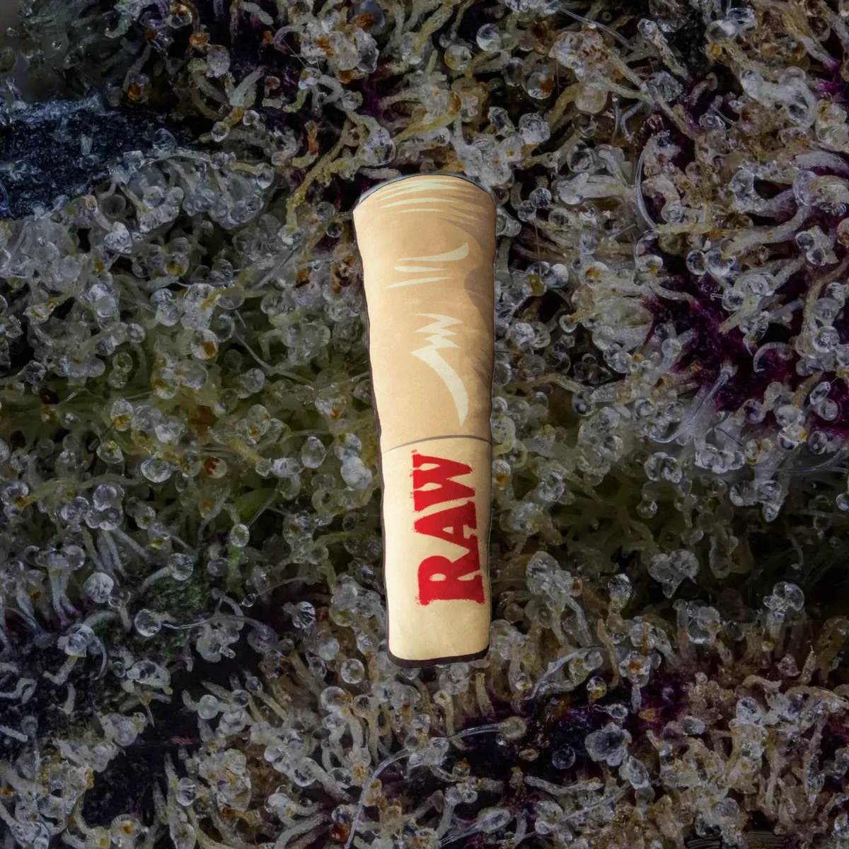 RAW Cone Pillow, novelty from Trichly
