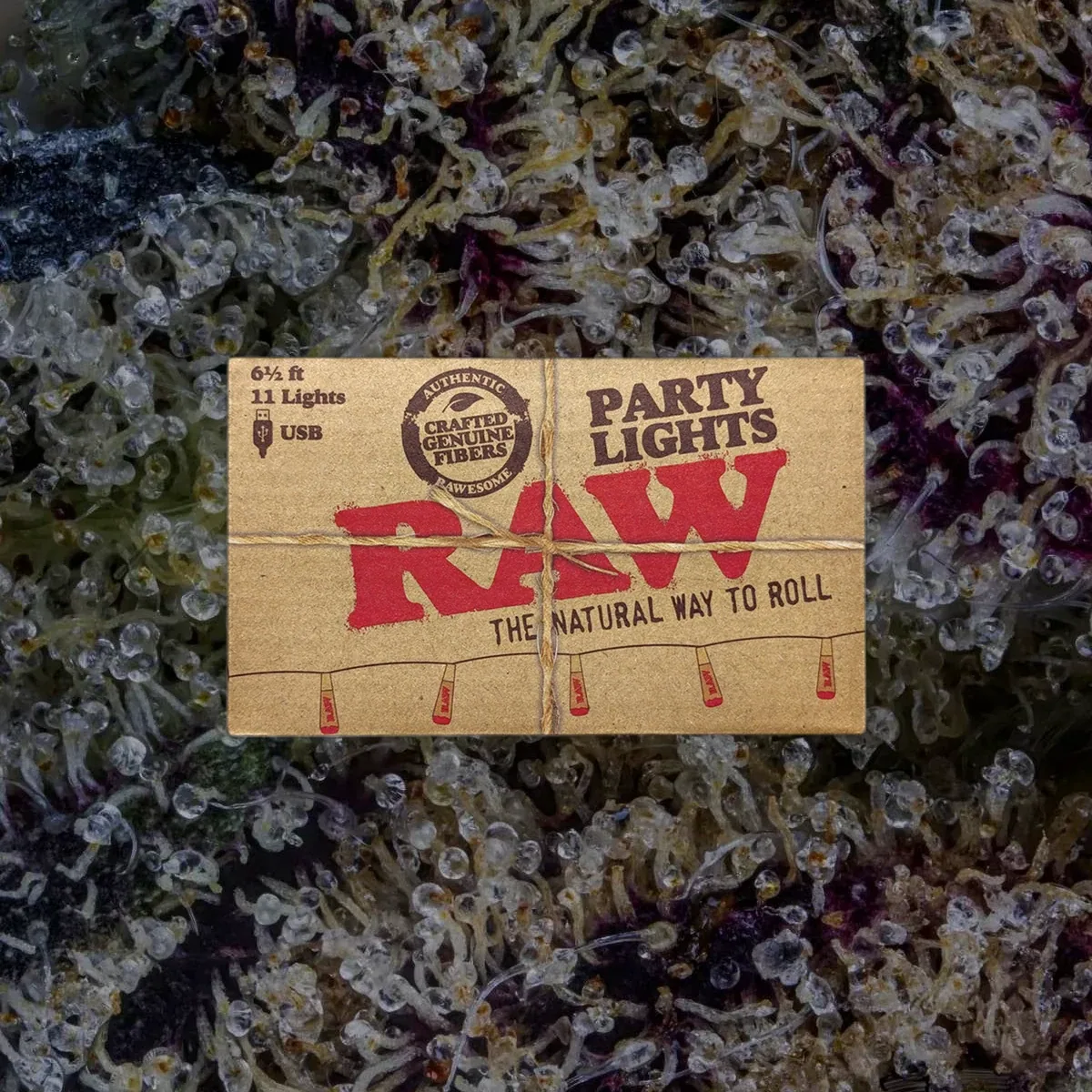 RAW Party Lights, novelty from Trichly