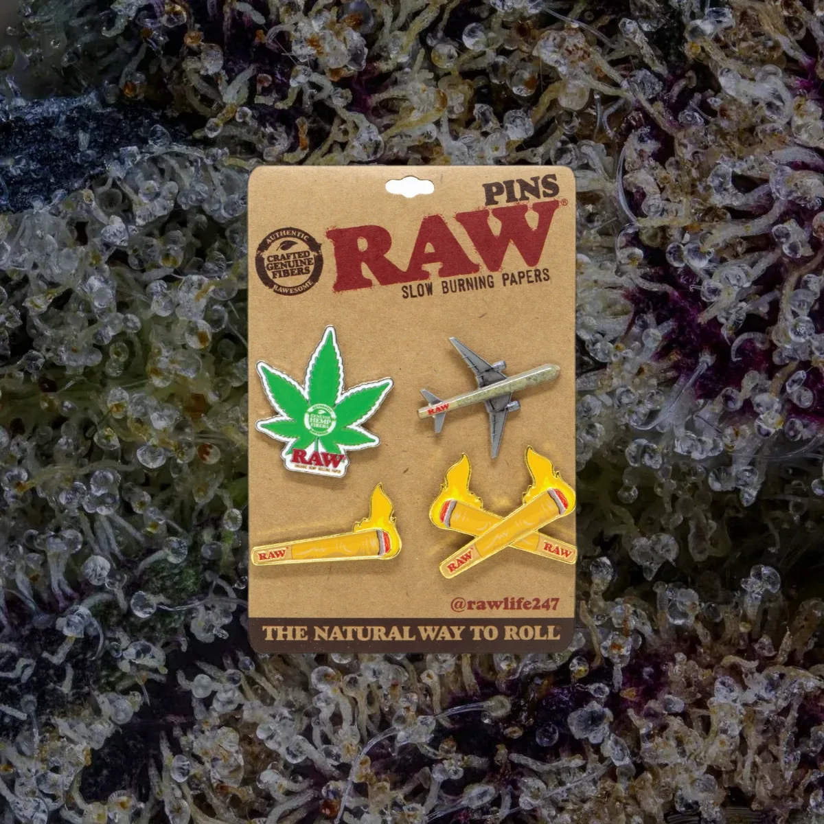 RAW Pin Set (4 Pack), novelty from Trichly
