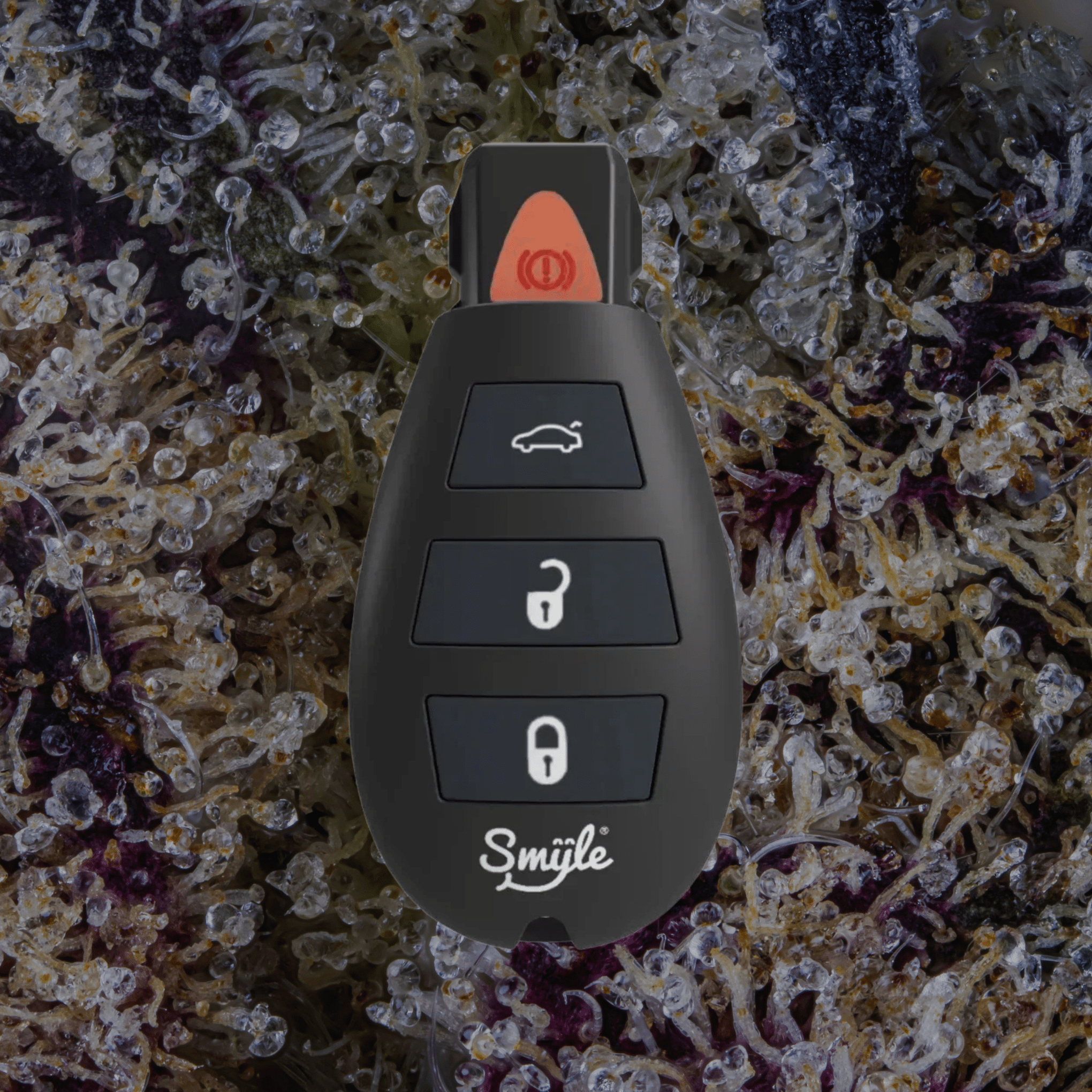 Smyle Labs Car Key