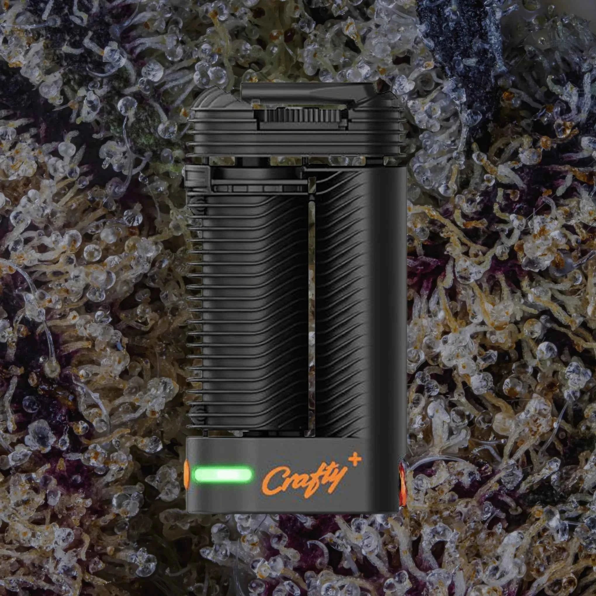 Storz & Bickel Crafty+
