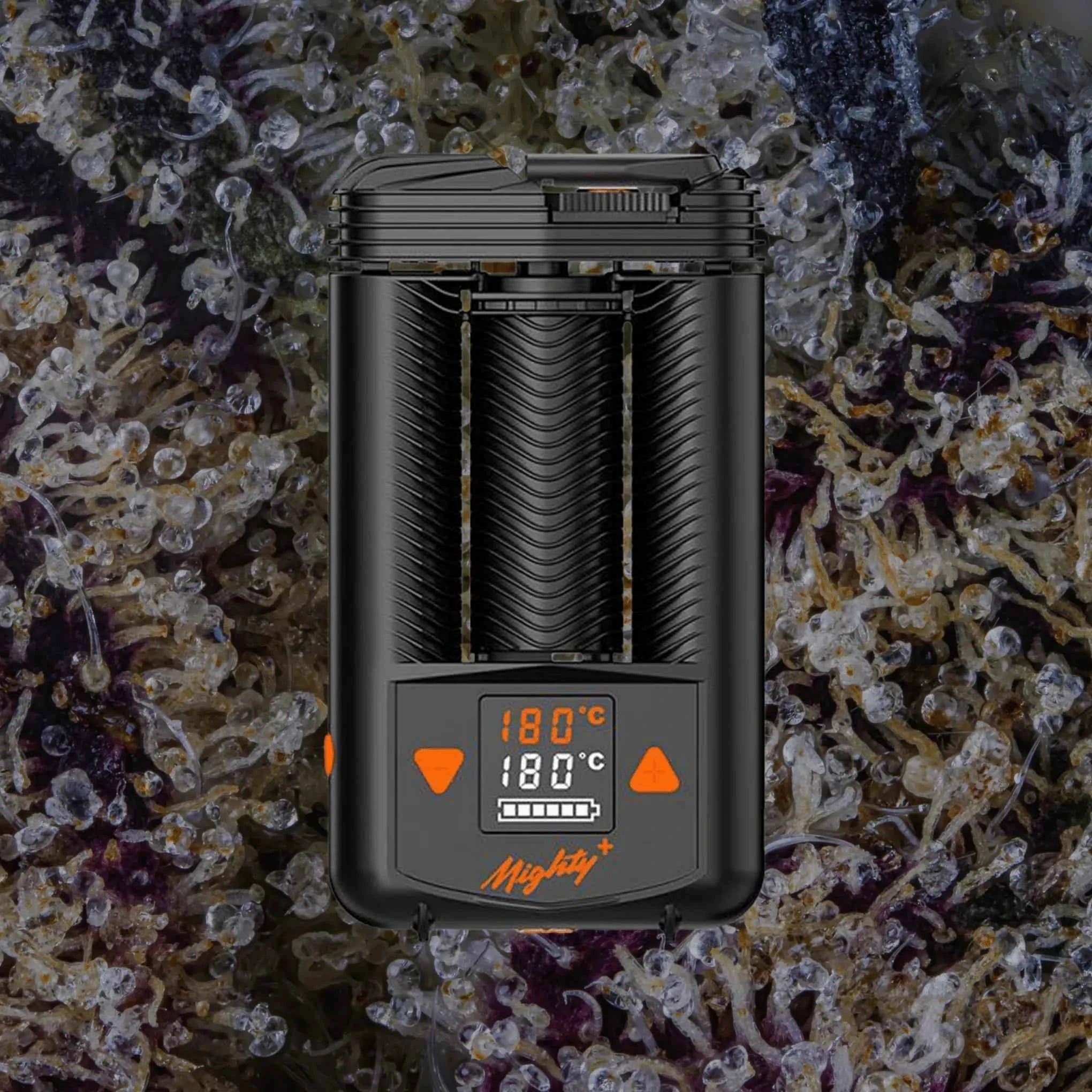 Storz & Bickel Mighty+