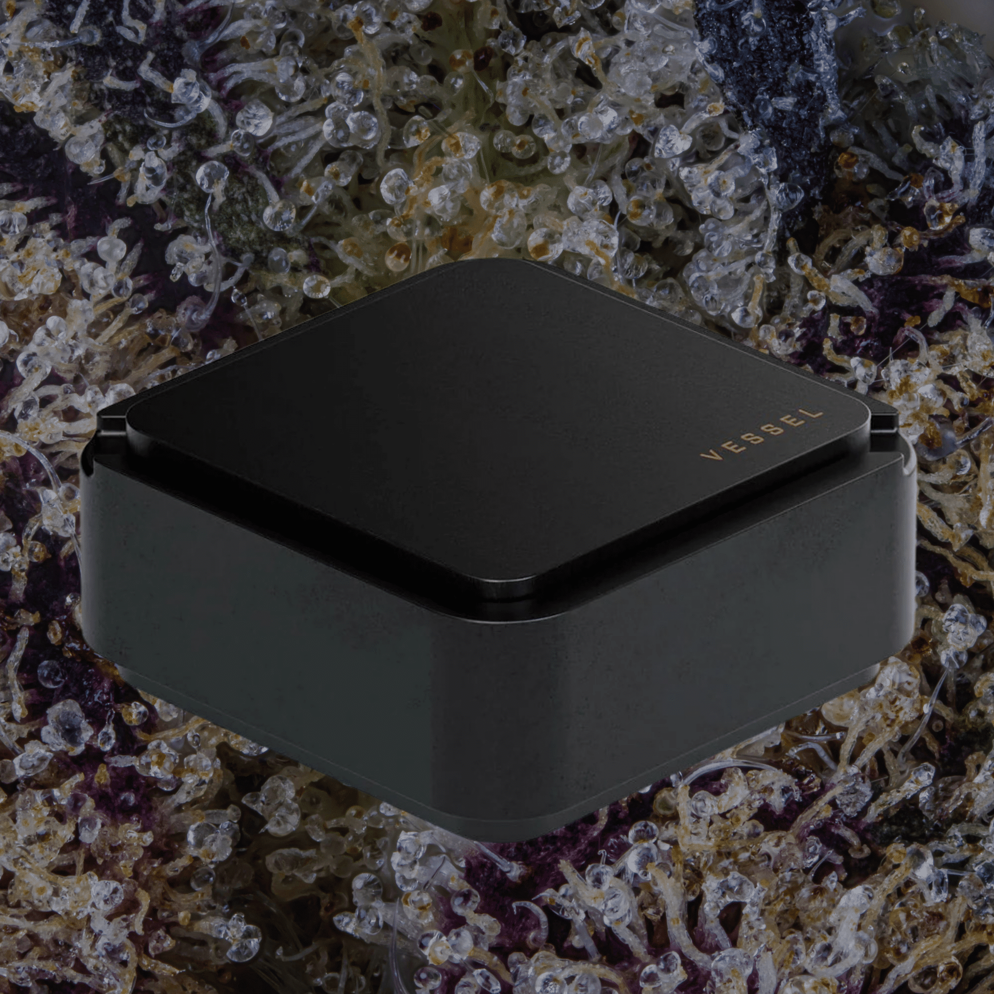 Vessel Ash Ashtray & Storage