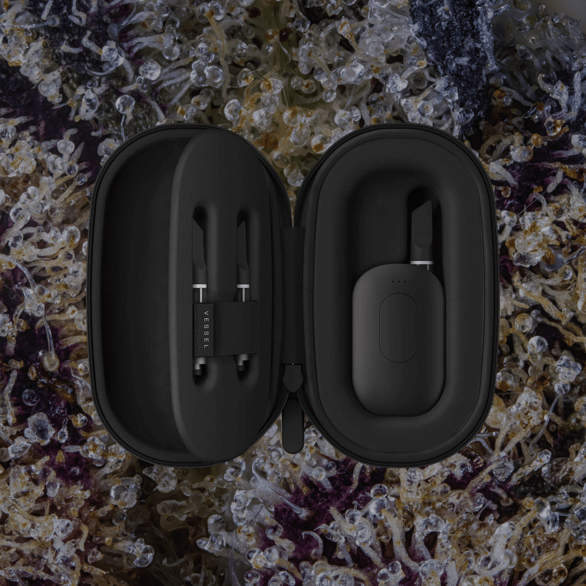 Vessel Scout Compass Case