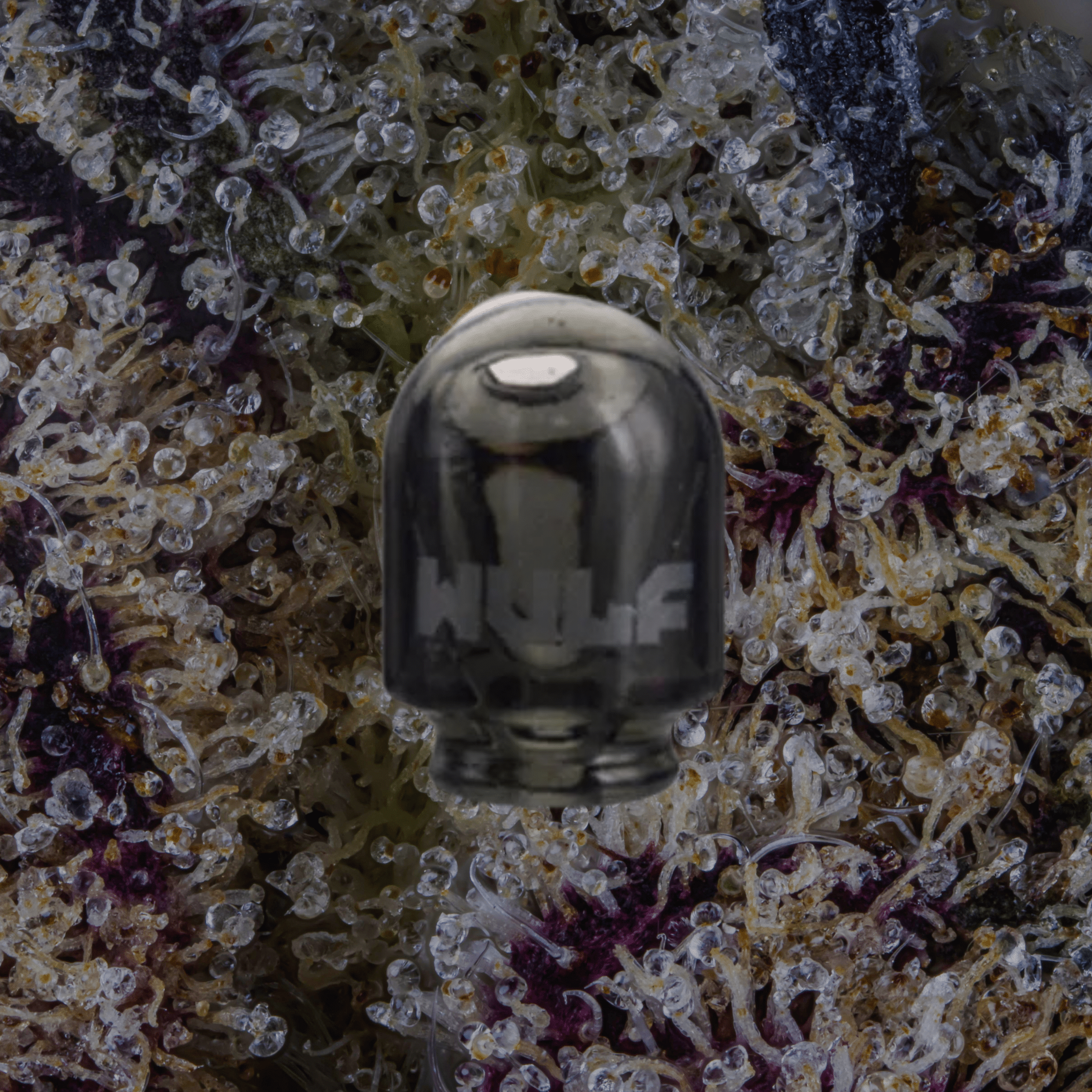 Wulf Mods Loon Puffco Pivot Top