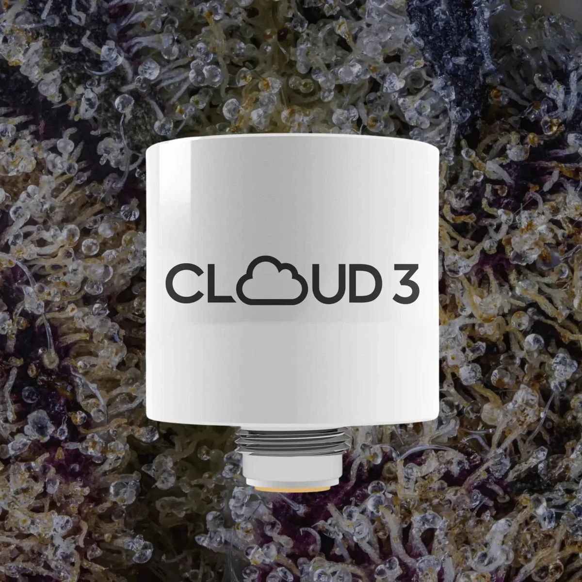 Yocan Cloud3 Chamber, replacement chambers from Trichly